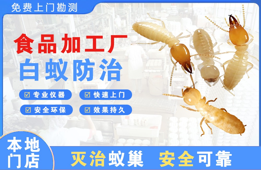 玉溪食品加工厂白蚁防治